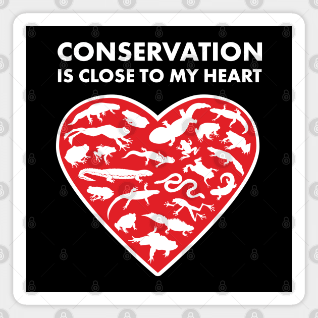 Amphibians Conservation Heart Magnet by Peppermint Narwhal